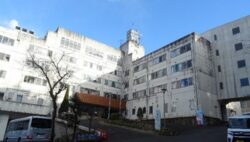 東館正面玄関前ロータリーの木を伐採しました