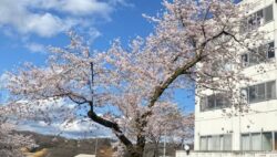 平川病院の「春」みつけました🌸