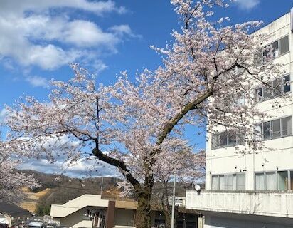 平川病院の「春」みつけました🌸