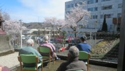 東４階病棟で桜鑑賞をしました🌸