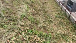 平川病院のウラ事情？