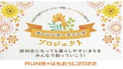 マリーゴールド日記①　種蒔きしました