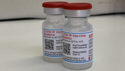 名前の由来は？