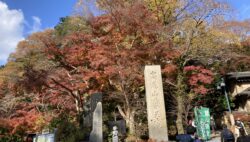 高尾山に登ってきました。