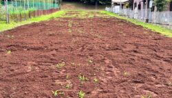 平川実習農場の経過②