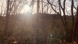 平川病院散歩道