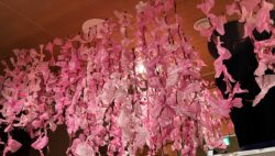 🌸作業療法室に枝垂桜が咲いています🌸