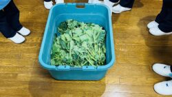 平川農場再開しました🥕