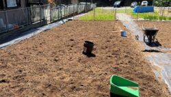 平川実習農場の経過④