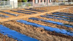 平川実習農場の経過⑤