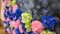 OT室の装飾が6月仕様になっています☔