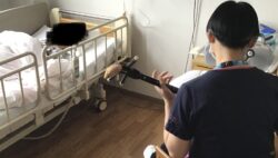 梅雨明けに合わせて