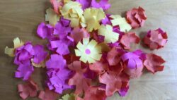 東3階季節の共同制作