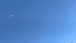 凧あげを行いました