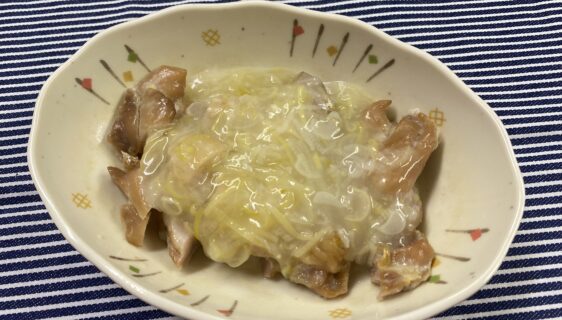 新メニュー✨鶏肉のネギ塩レモンソースかけ✨
