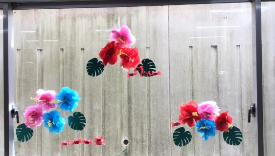 夏🌴🌺