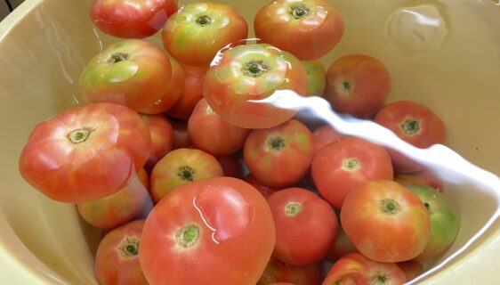夏野菜🍅🥒🍆