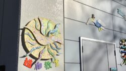 プログラムの準備🖼️