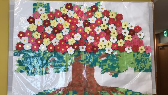 病棟内にも梅の花が咲きました！