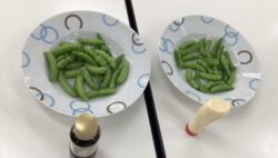 土曜デイケア🫛スナップエンドウ収穫🫛第2弾