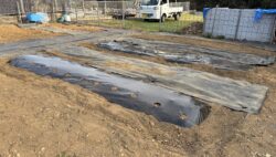 今年も平川実習農園でのプログラムが始まります