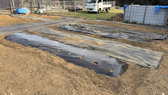 今年も平川実習農園でのプログラムが始まります
