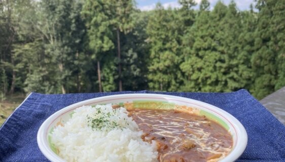 ハッシュドビーフ